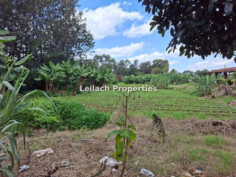 Land for sale in Karen