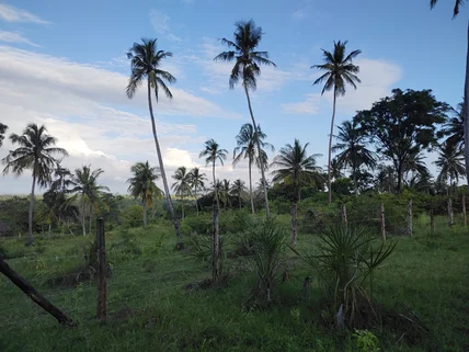 Land for sale in Diani, Kwale County