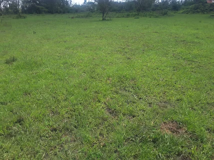 Land for sale in Ongata Rongai, Kajiado County