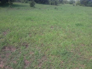 Land in Ongata Rongai, Kajiado County - thumbnail 1