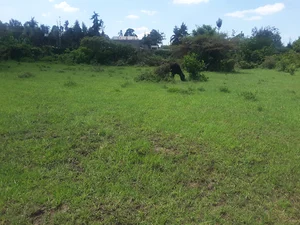 Land in Ongata Rongai, Kajiado County - thumbnail 2