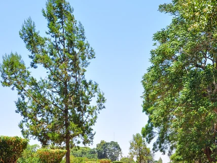 Residential Land for sale in Juja, Kiambu County