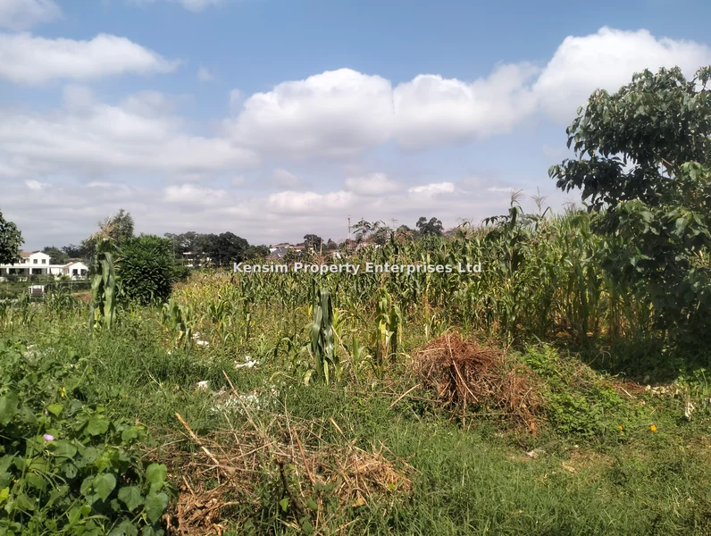 Land for sale in Kitisuru