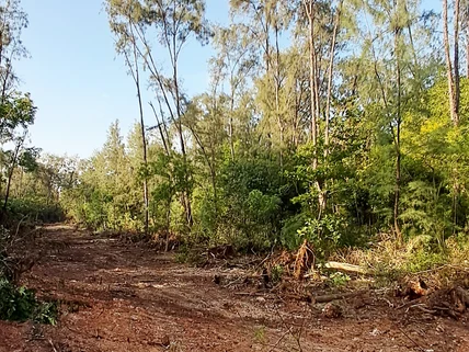 Land for sale in Nyali Area, Nyali