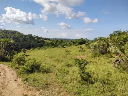 Land for sale in Diani, Kwale County