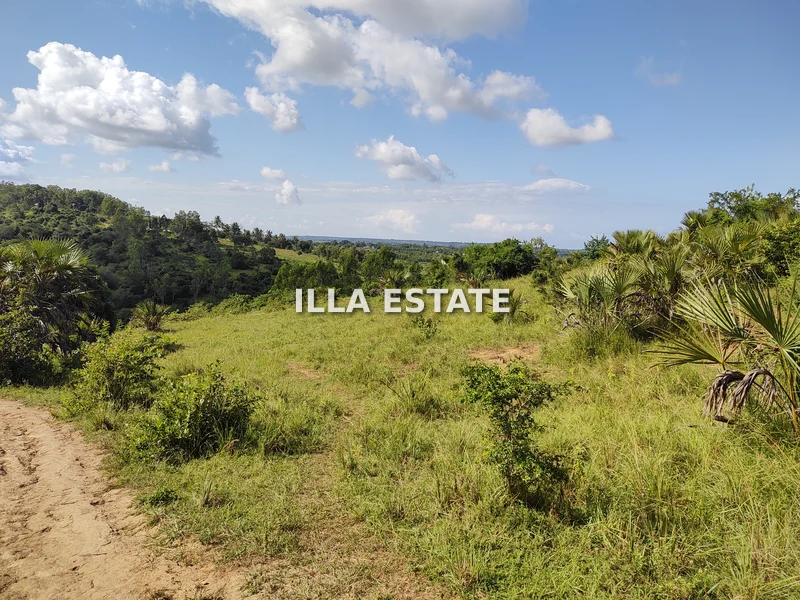 Land for sale in Diani