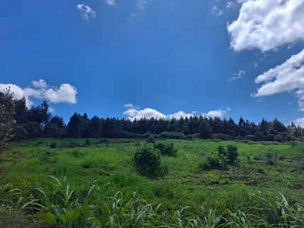 Land for sale in Limuru Town, Limuru