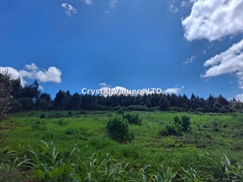 Land for sale in Limuru Town