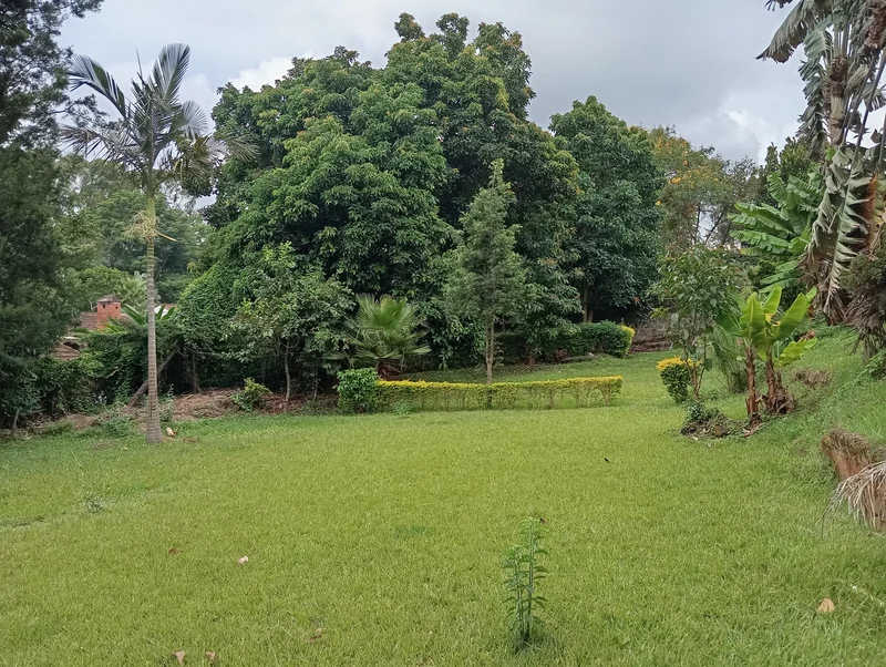 Bungalow House For Sale