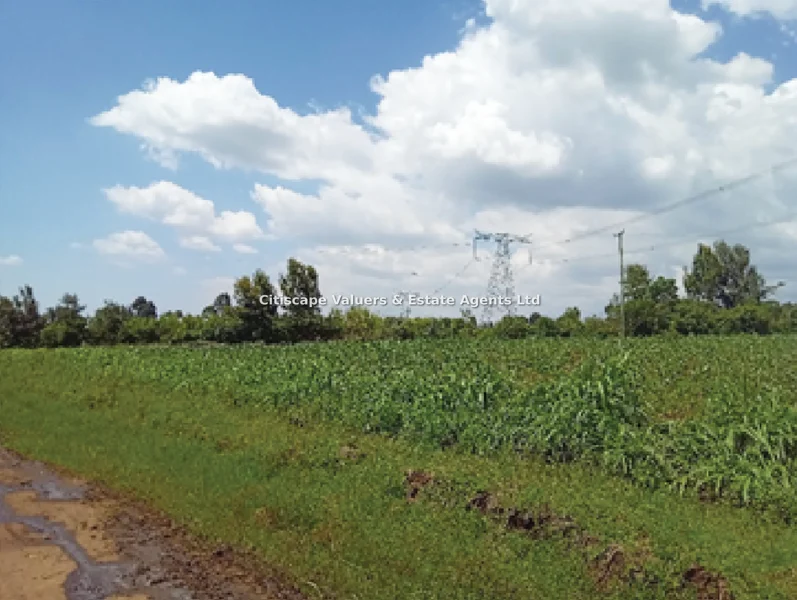 Land for sale in Naivasha