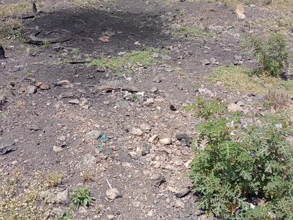 Residential Land for sale in Syokimau, Machakos County