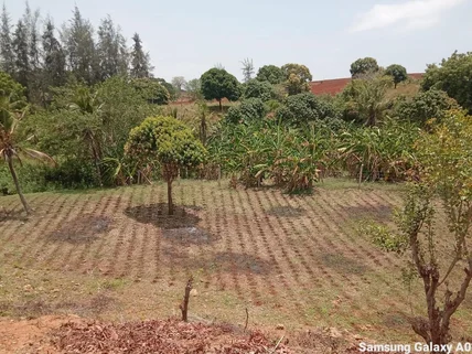 Land for sale in Vipingo, Kilifi County