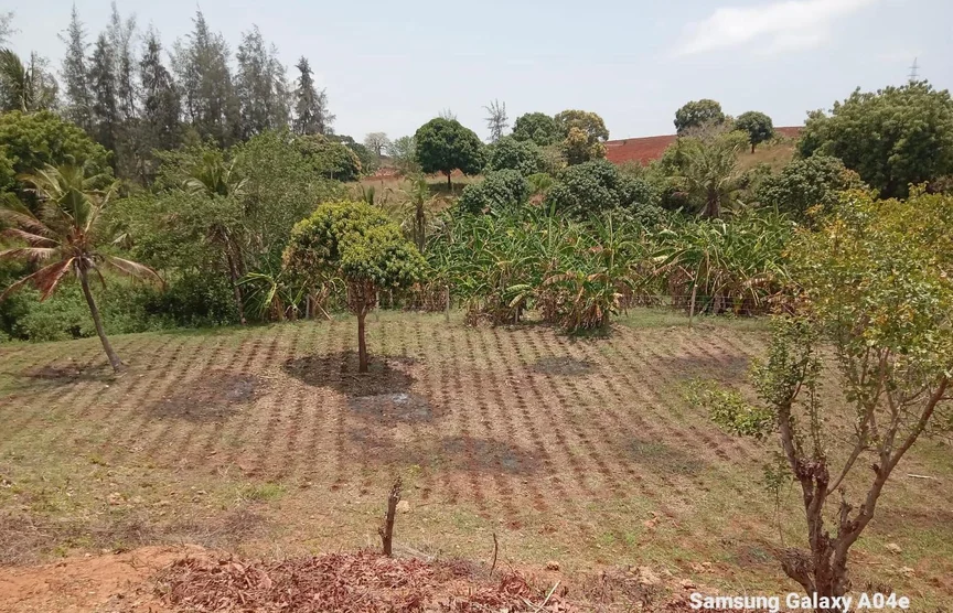 Land for sale in Vipingo