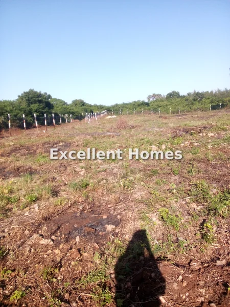 Residential Land for sale in Diani