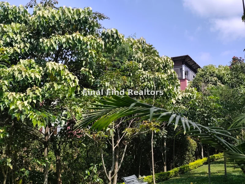 1-bedroom Apartment for rent in Nyari