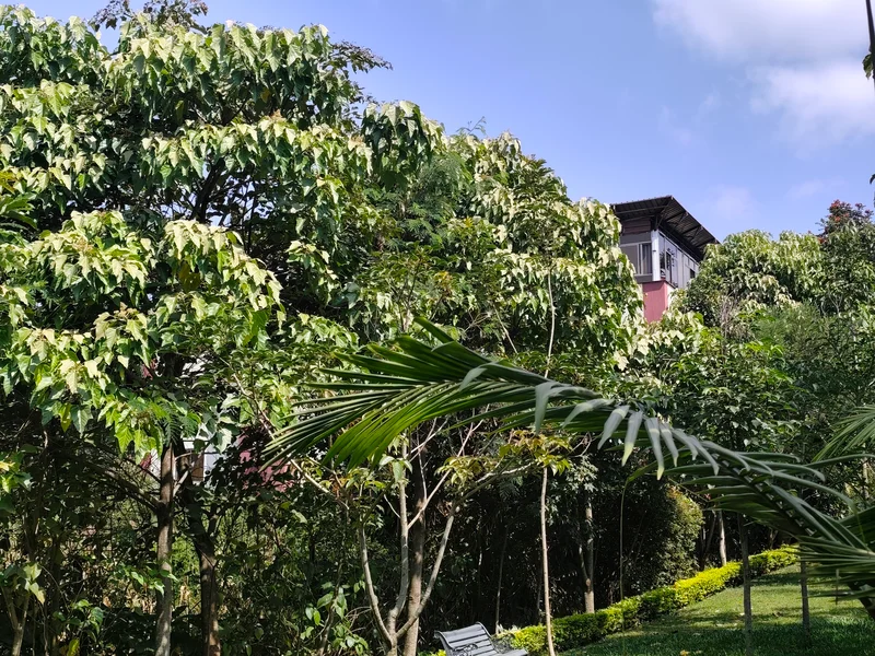 1bedroom in Nyari furnished and serviced