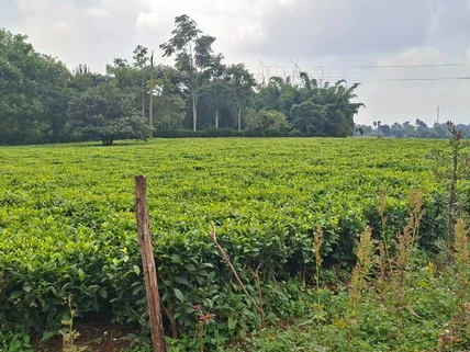 Residential Land for sale in Tigoni, Limuru