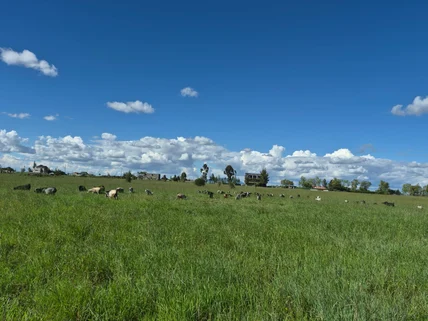 Land for sale in Joska, Kamulu Joska Malaa