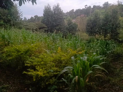 Land for sale in Ngong, Kajiado County