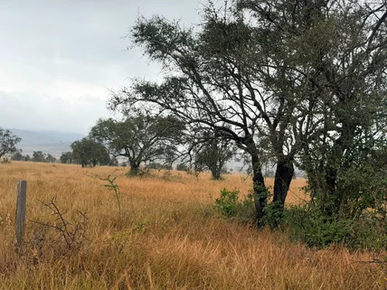 Land for sale in Athi River, Machakos County