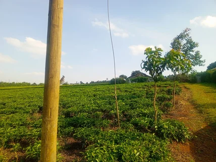 Land for sale in Limuru, Kiambu County