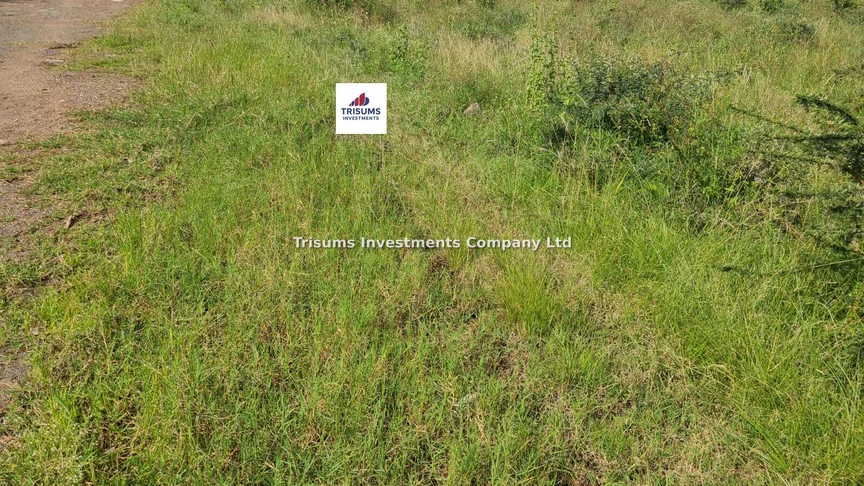 Land for sale in Mlolongo