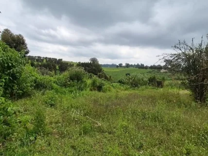 Land for sale in Tigoni, Limuru