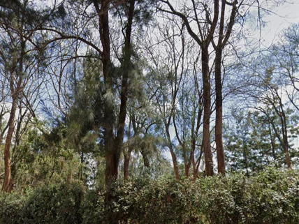 Land for sale in Nyeri