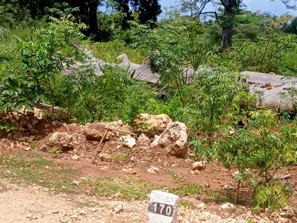Residential Land for sale in Vipingo, Kilifi County