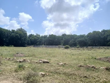 Thumbnail 18