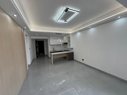 1-bedroom Apartment for rent in Hurlingham, Nairobi