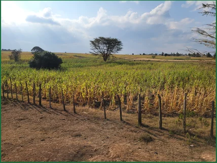 Land for sale in Narok