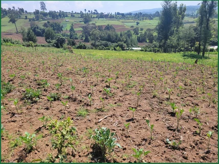 Land for sale in Narok
