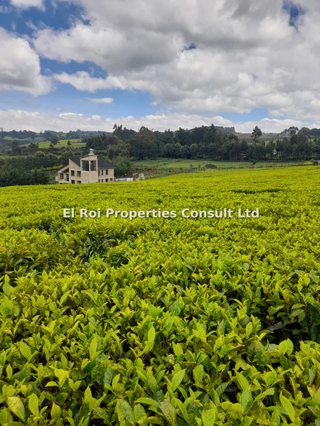 Land for sale in Tigoni