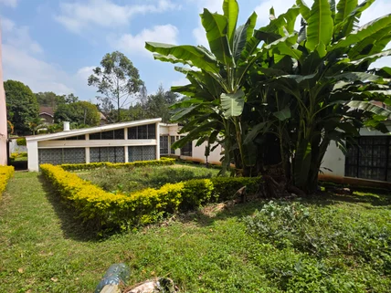 Commercial Property for rent in Lavington, Nairobi