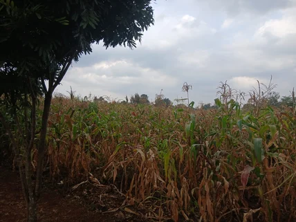Land for sale in Nyari, Westlands