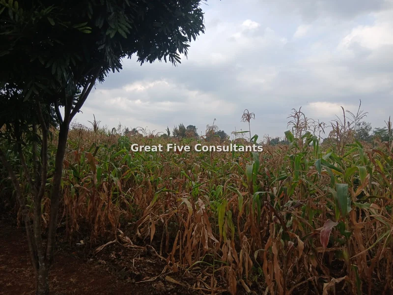Land for sale in Nyari