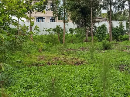 Residential Land for sale in Kitengela, Kajiado County