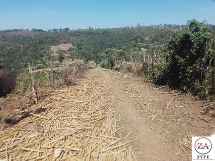 Land for sale in Nanyuki, Laikipia