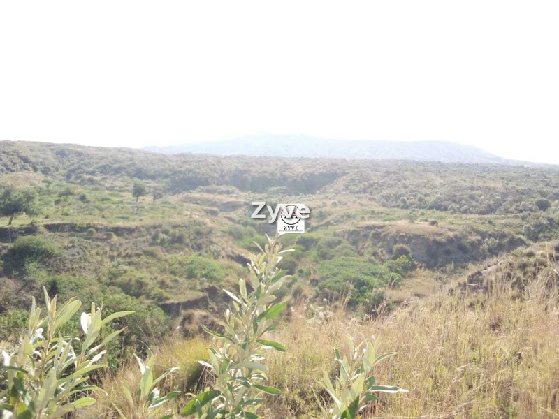 Land for sale in Nanyuki