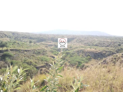 Land for sale in Nanyuki, Laikipia