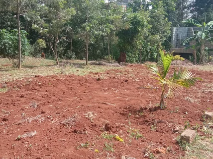 Land for sale in Muchatha, Muchatha and Banana