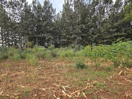 Land for sale in Thindigua, Kiambu County