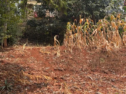 Land for sale in Nyeri