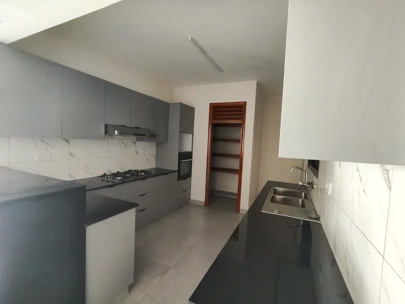 Modern 3 Bedroom Apartment plus dsq for rent in Westlands
