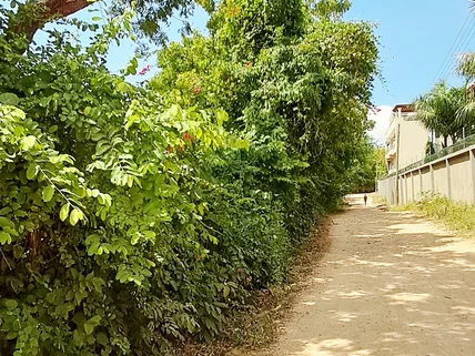 Land for sale in Diani, Kwale County