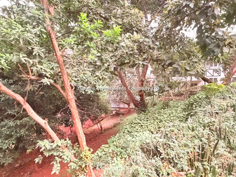 Land for sale in Spring Valley