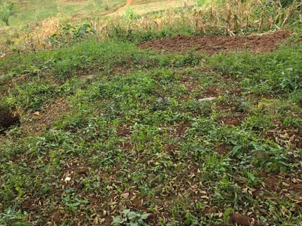Land for sale in Lavington, Nairobi