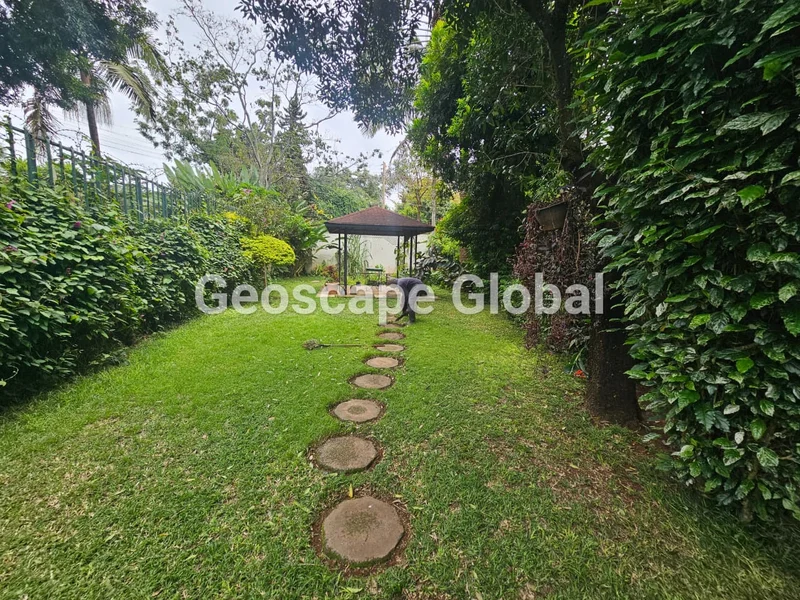 FOR RENT: Three-Bedroom Apartment with Large Private Garden – Spring Valley