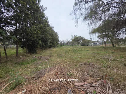 Land for sale in Garden Estate, Roysambu